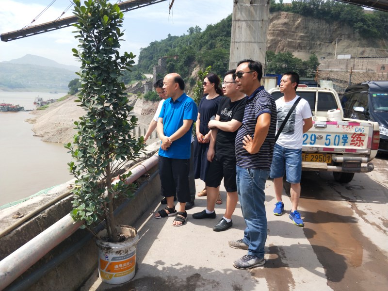 IMG20180628104309.jpg