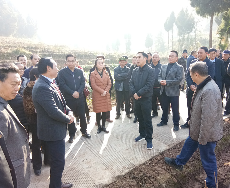 QQ图片20191211101456_副本.jpg