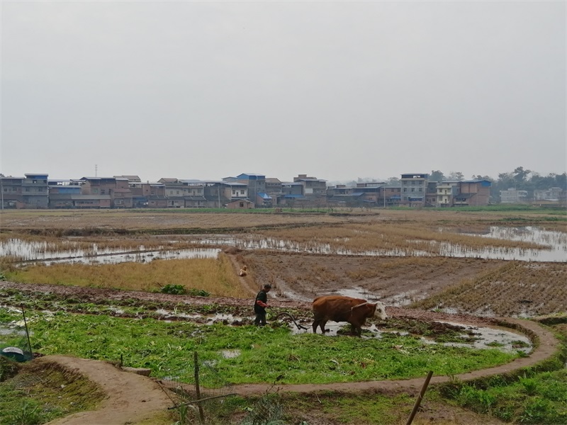 QQ图片20200224142842.jpg