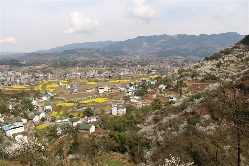 选用4.jpg