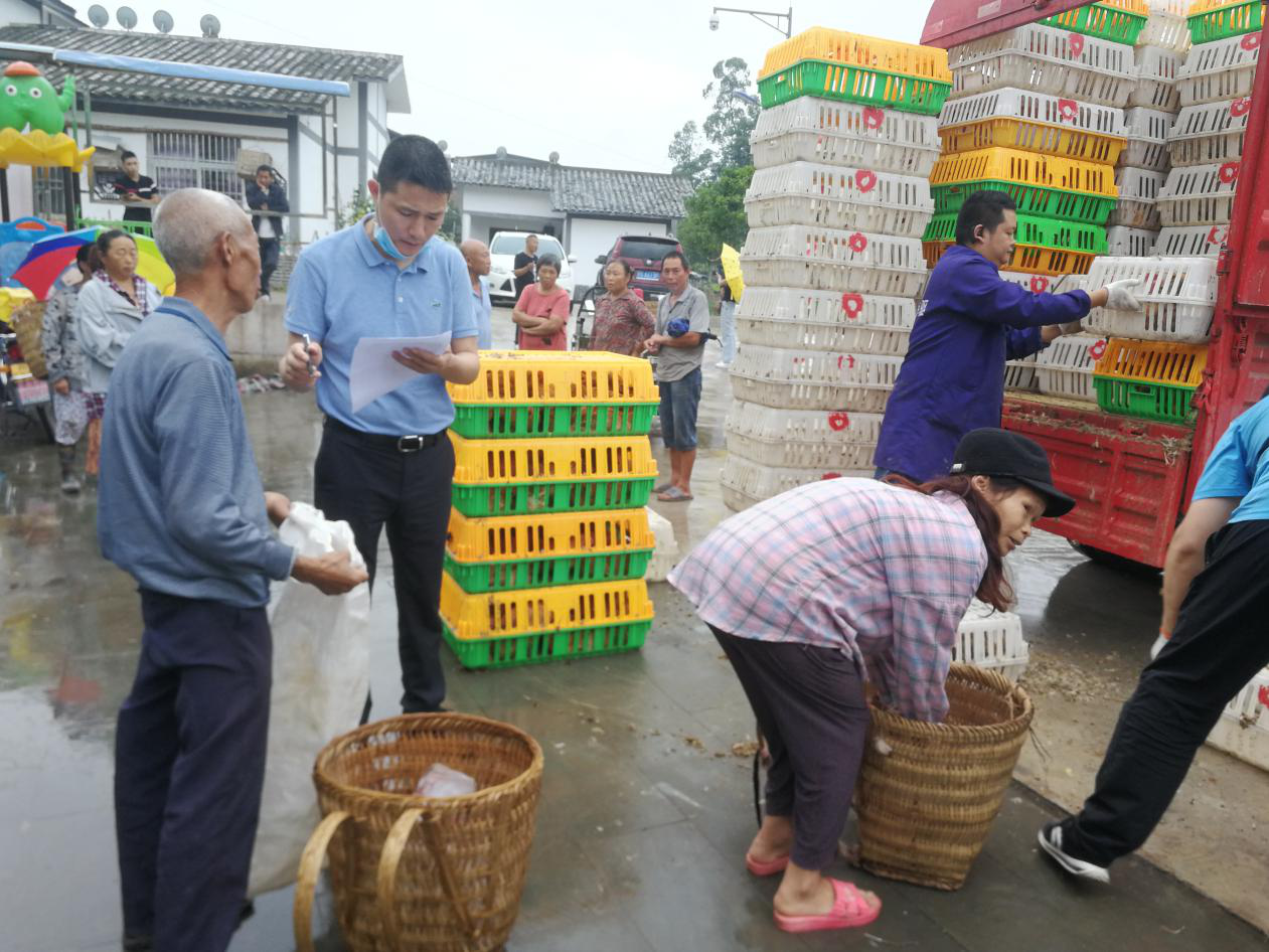 图片2.png