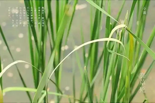 微信图片_20200721091320.jpg