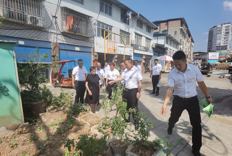 国有林场集中入户宣传四城同创_副本.jpg