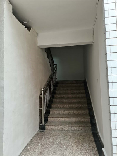 开江县自然资源局清理后的院坝2_400.jpg