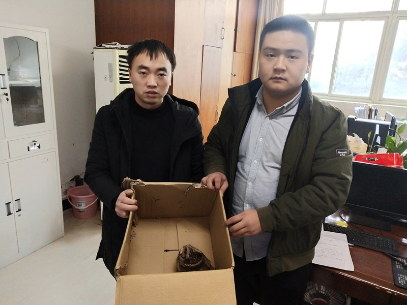 C1B2F91E95EBEA094435E030D9767E26-副本.jpg