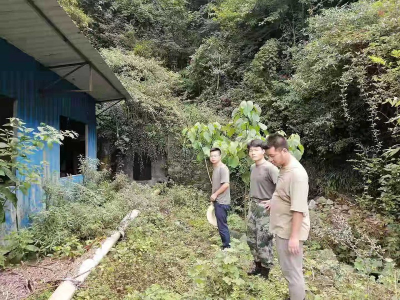 李奎2.jpg