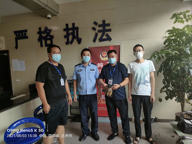BA8BD3176FEB674C3FAEA121B7004422_副本.jpg